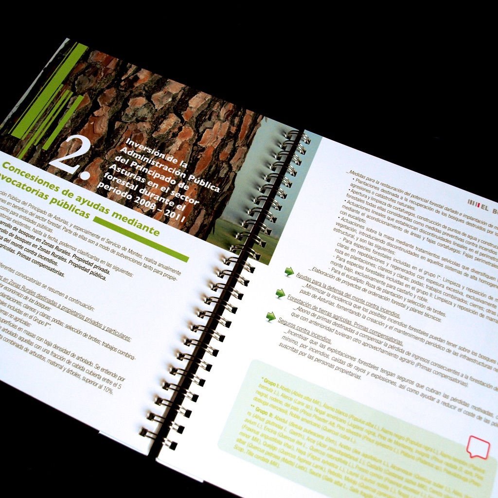 Diseño de Guía el bosque, sus cuidados, sus beneficios y sus empresas, editado por Asmadera