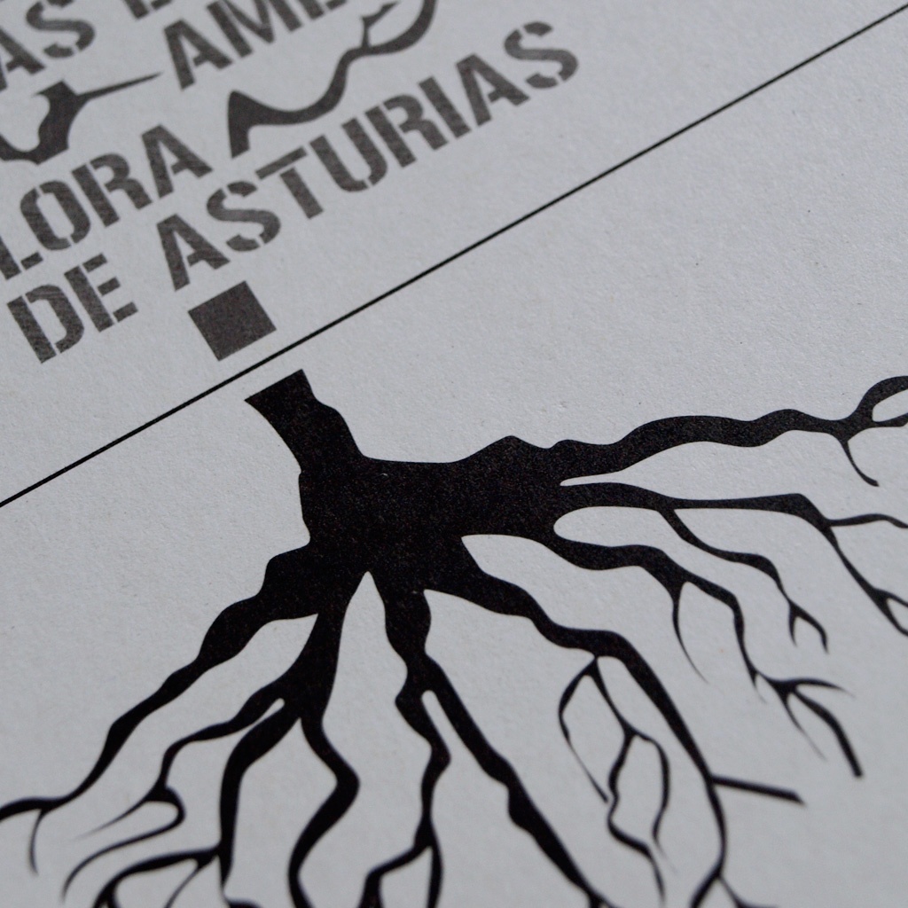 Diseño y maquetación de la Guía didáctica sobre las especias amenazadas de flora de asturias