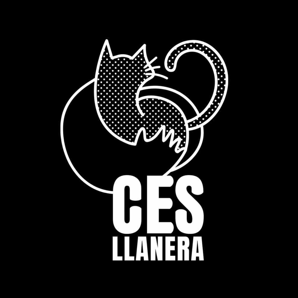 Diseño de logotipo para CES Llanera