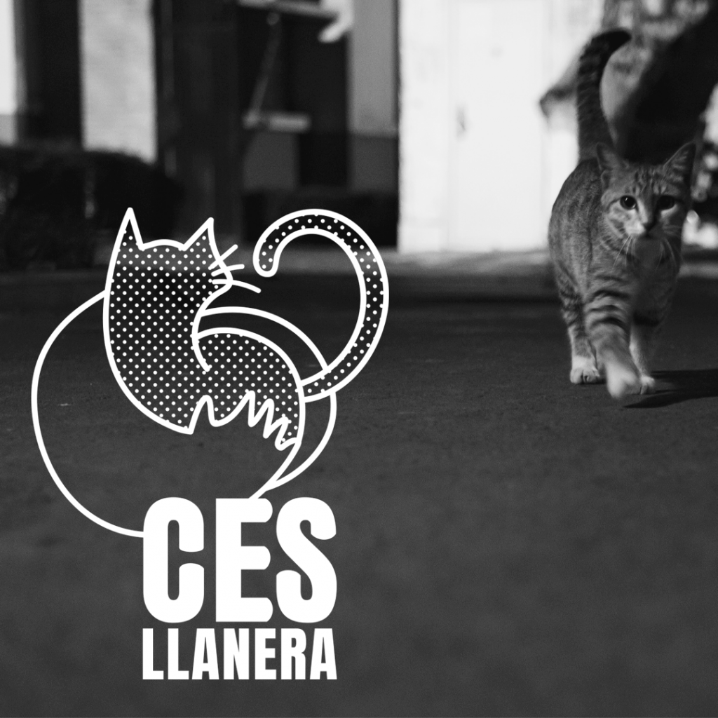 Diseño de logotipo para CES Llanera