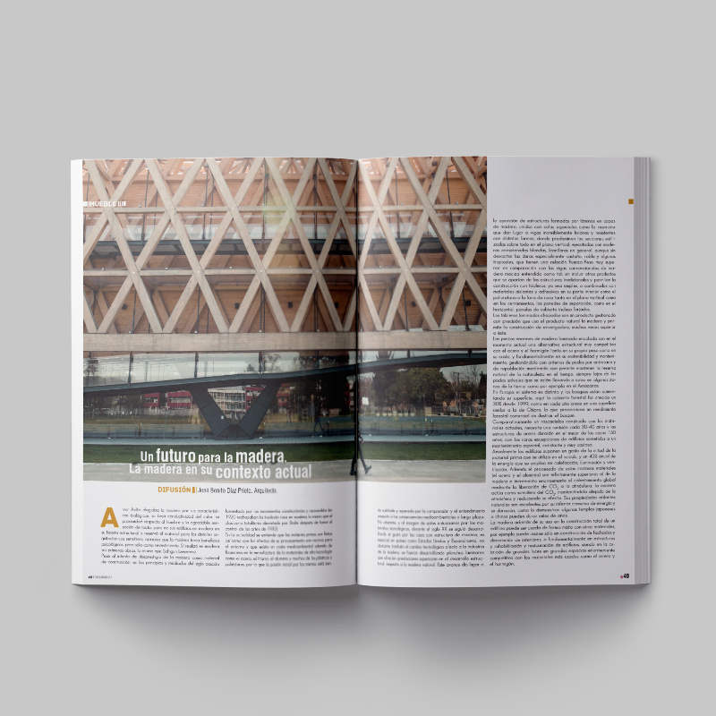Diseño y maquetación de la revista editada por Asmadera, sobre el sector forestal y de la madera en Asturias