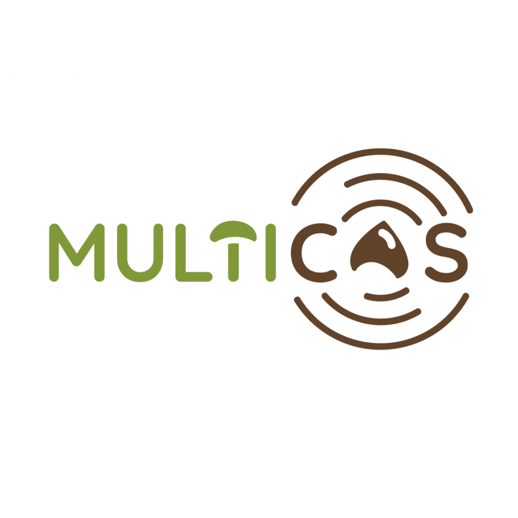 Diseño de logotipo y lenguaje gráfico corporativo de Multicas