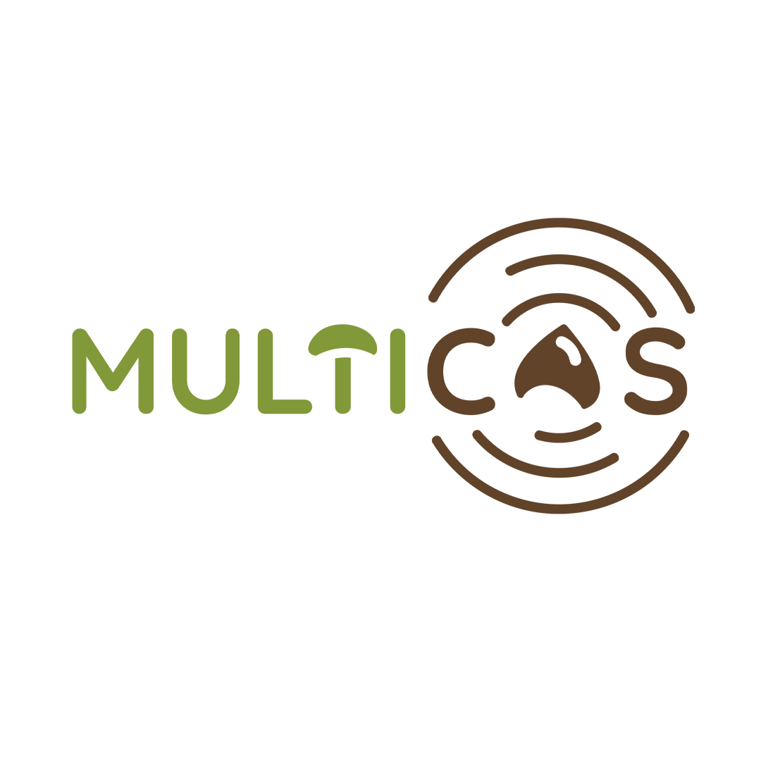 Diseño de logotipo y lenguaje gráfico corporativo de Multicas