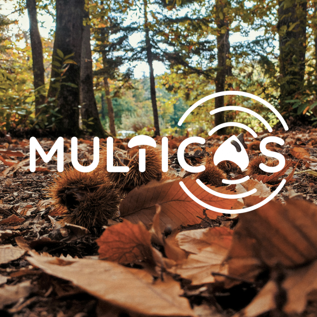 Diseño de logotipo y lenguaje corporativo de Multicas