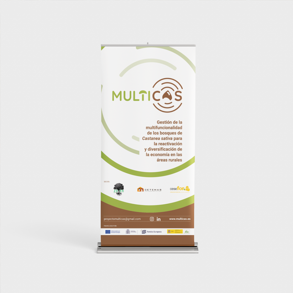 Diseño de logotipo y lenguaje corporativo de Multicas. Rollup